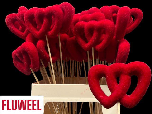 <h4>!! PROMO !! HARTJE OP STOK ROOD DUBBEL</h4>