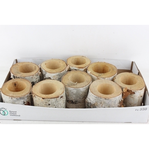 arr3 GB - Schors pot x9