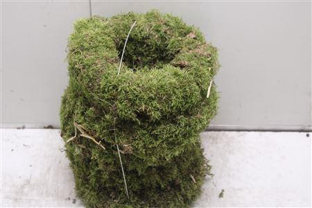 <h4>Krans Moss Green</h4>