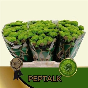 Chr S Aaa Peptalk