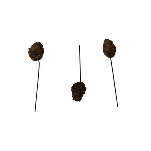 Larix o/dr. naturel125 st