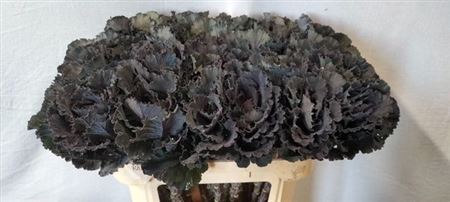 <h4>Brass Black Leaf</h4>