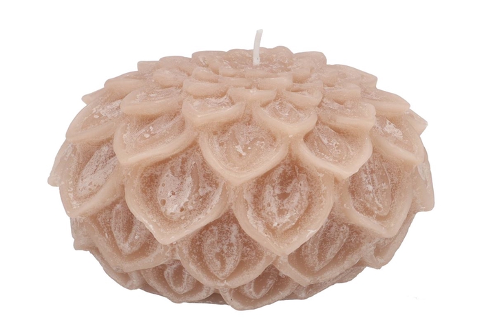 <h4>Candle Dahlia Sand 15x10cm</h4>