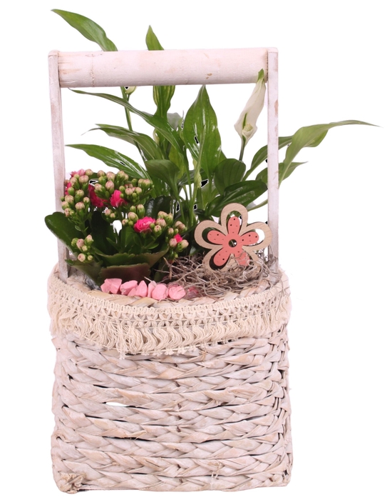 <h4>Opm Summer Arr. Indoor Willow Handlebasket Square</h4>