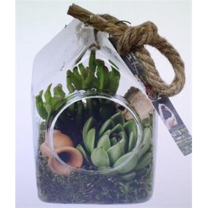 2108 HANG HUISJE SUCC