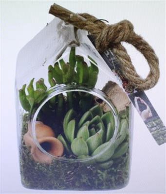 <h4>2108 HANG HUISJE SUCC</h4>