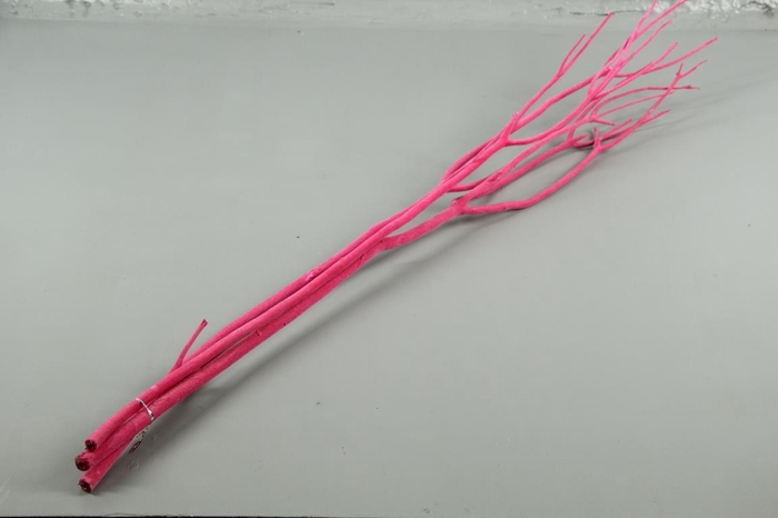 <h4>Mitsumata Flock Pink Bs(3)</h4>