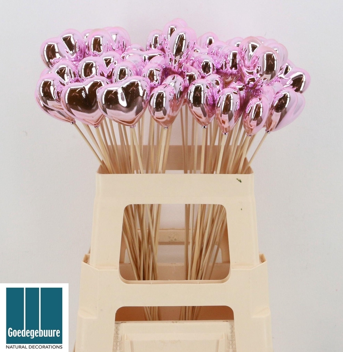 <h4>HARTJE OP STOK H%</h4>