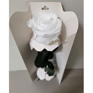 Ro Pres Stem 30cm White