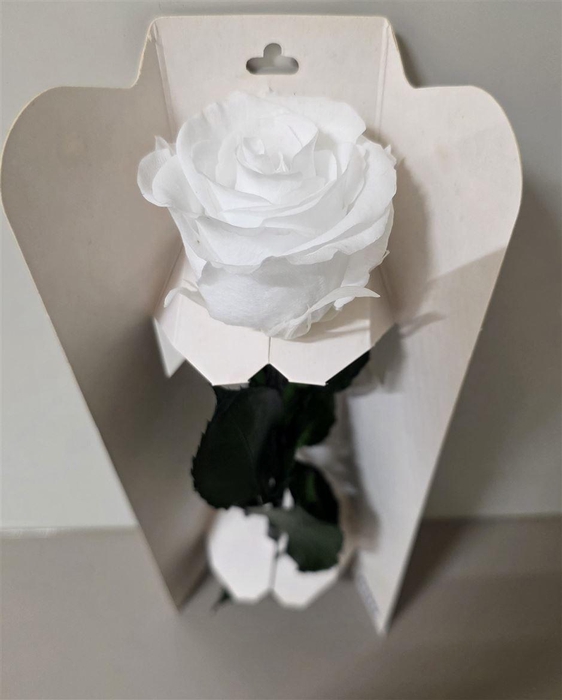 <h4>Ro Pres Stem 30cm White</h4>