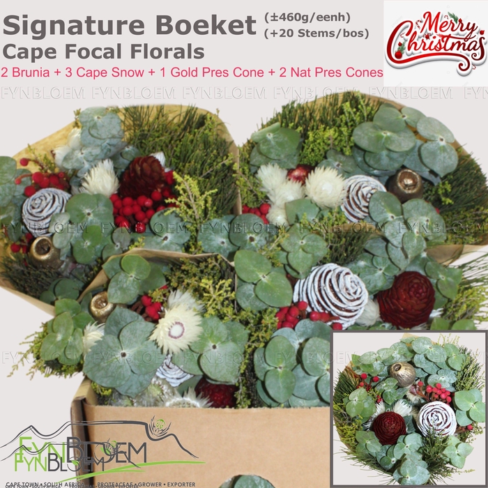 <h4>KAAPS GROE GEM IN BS</h4>