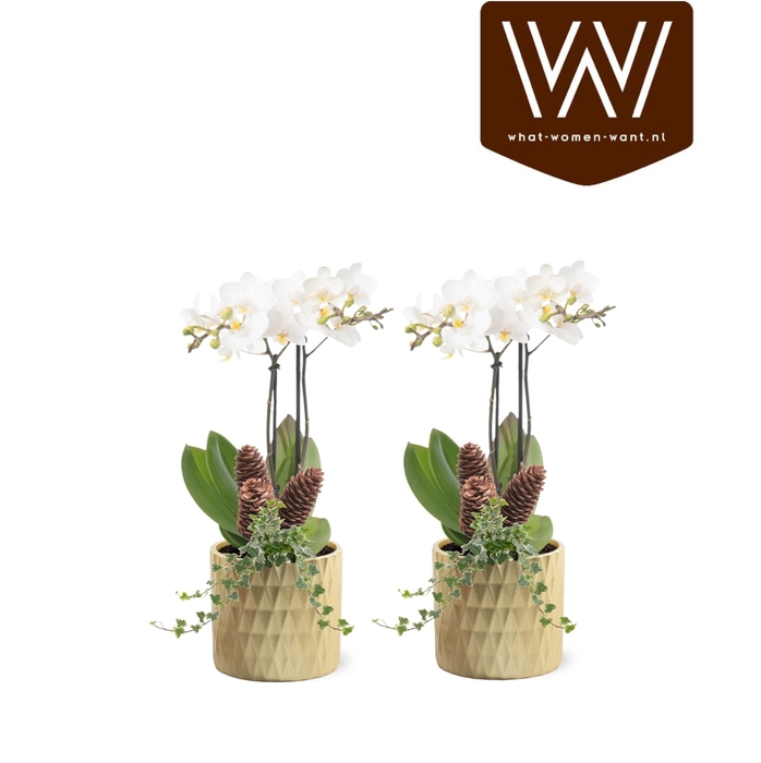 <h4>Collectie "Luxury World"Arrangement in keramiek Paige</h4>