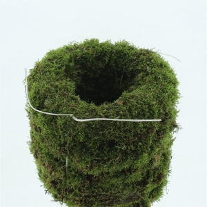Wreath Moss 45cm