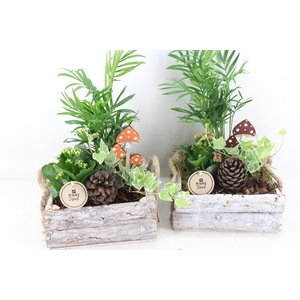 arr2 PL - Hout 4kant mix