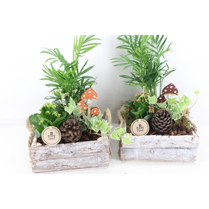 <h4>Arr2 Pl - Hout 4kant Mix</h4>