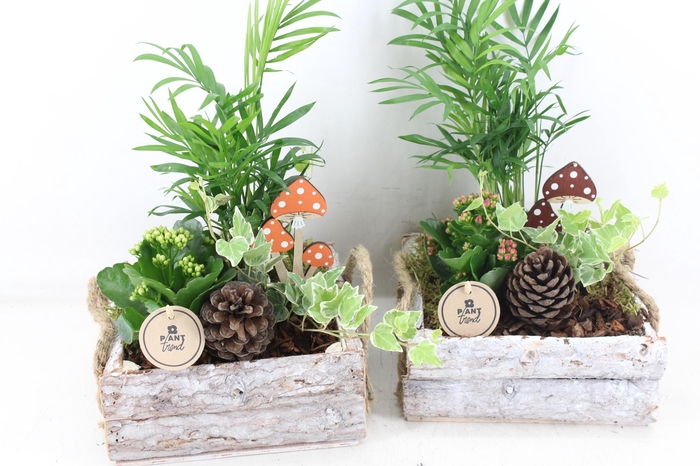 <h4>arr2 PL - Hout 4kant mix</h4>