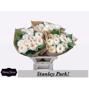 R GR STANLEY PARK!