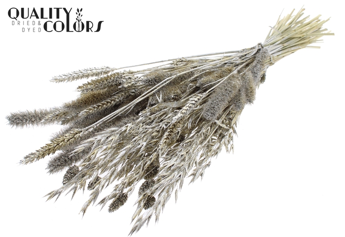 <h4>Dried Flower mix bunch Platina + Glitter</h4>