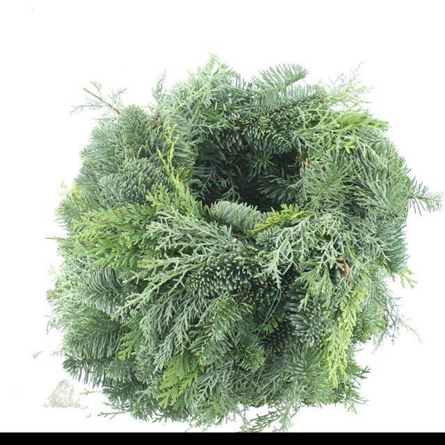 <h4>KRANS HALF GEBOND H%</h4>