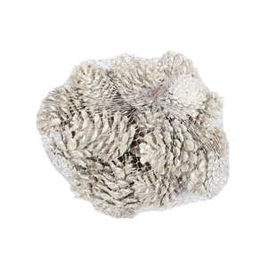 Pine cone 500gr in net white