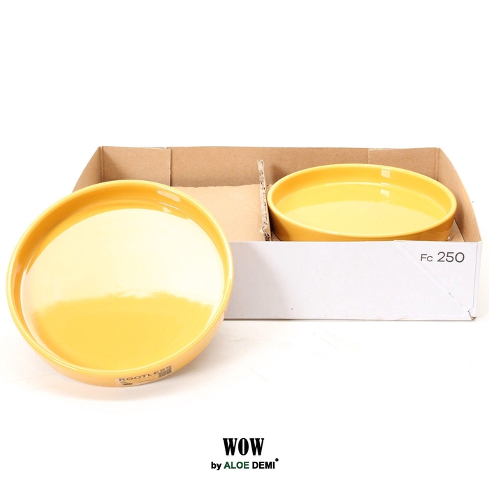<h4>WOW bowl, Yellow</h4>
