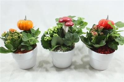 <h4>1097 Ker Indoor MIX</h4>