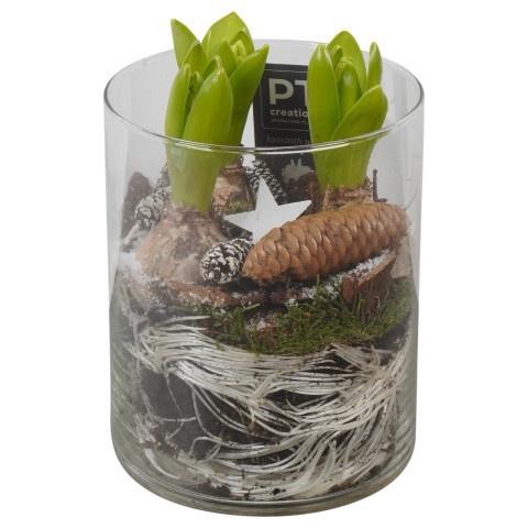 <h4>Opm Pt PTWH7706 Winter Glas Vaas</h4>