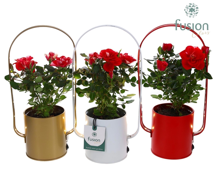 <h4>Led planter zink boog met Potroos</h4>