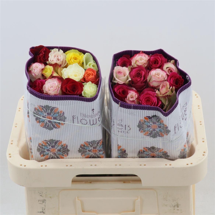 <h4>Rosa gr Gemengd In Bos</h4>