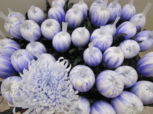<h4>Chr G Tutu Pastel Lilac</h4>