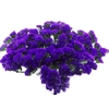 Bouquet Mono Statice Blauw x5 60cm