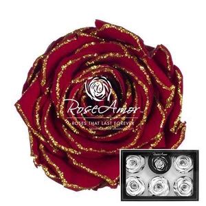 Pr 1 Glitter Gold Red01 Xl