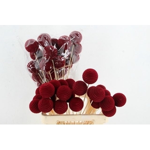 Stick Ball Flock Thread Bordeaux