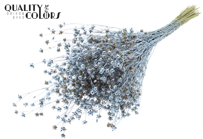 <h4>Droogbloemen   ...bewerkt H%</h4>