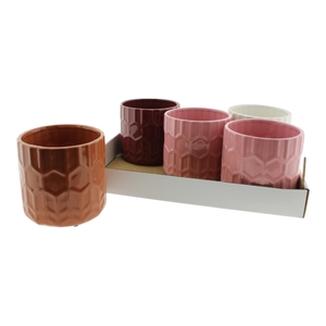 HUIS EN TUINDECO H%