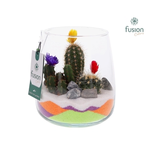 Glazen vaas met Cactussen en bloemetjes