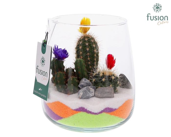 <h4>Glazen vaas met Cactussen en bloemetjes</h4>