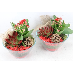arr2 PL - Glas schaaltje x3 ech - rood