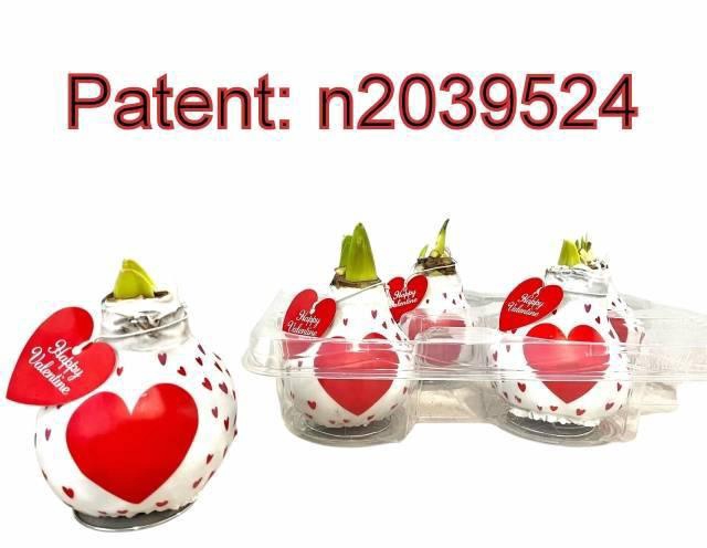 <h4>BLOEMBOL HIPPEASTRUM</h4>