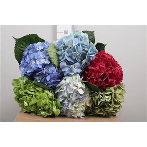 Hydr Tinted Dark Mix Premium (box)