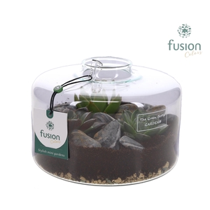 Green Bottle Kyra Medium met Succulenten