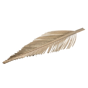 Coco leaf big cut 75cm natural