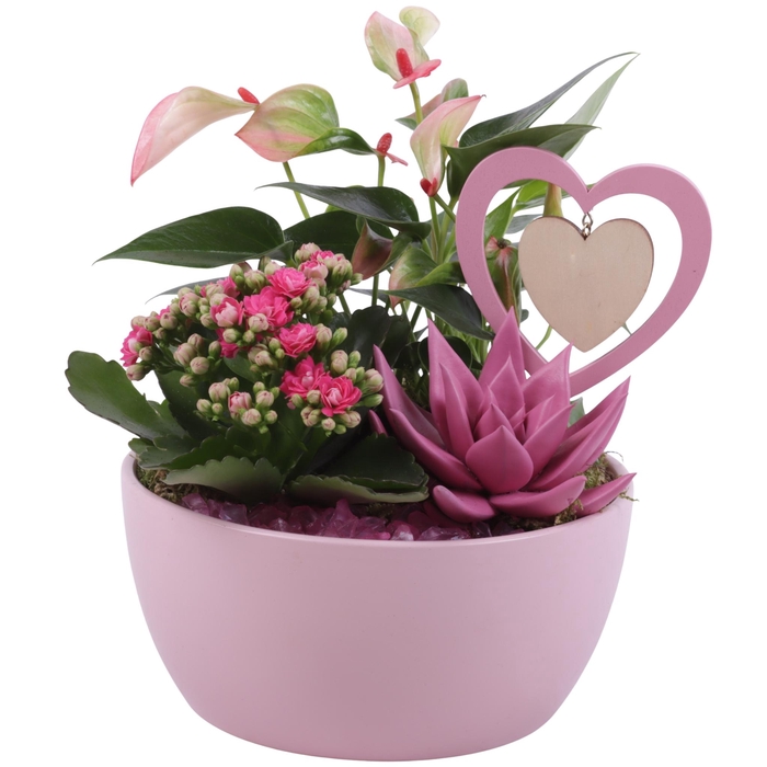<h4>Mothersday Arr. Indoor Ceramic Bowl Round Pink Ø18cm 3PP</h4>