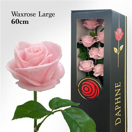 <h4>Wax Rose L Baby Pink 60cm</h4>