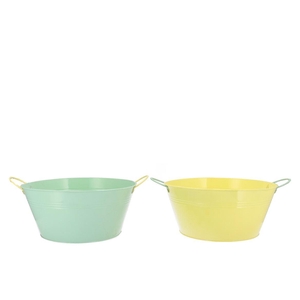 Zinc Basic Pastel Green/yellow Ears Bowl 30x14cm Nm