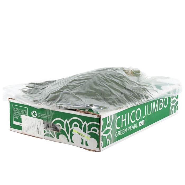 <h4>Chico Jumbo Vacuum</h4>
