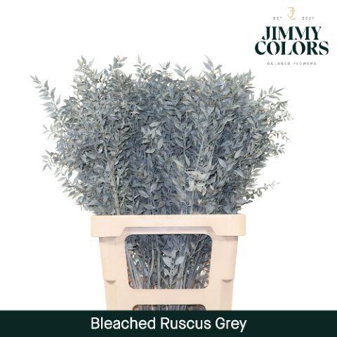 <h4>Ruscus Bleached Italy L70 Light Grey</h4>