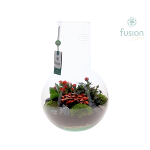 Green Bottle Suzanne Large met arrangement