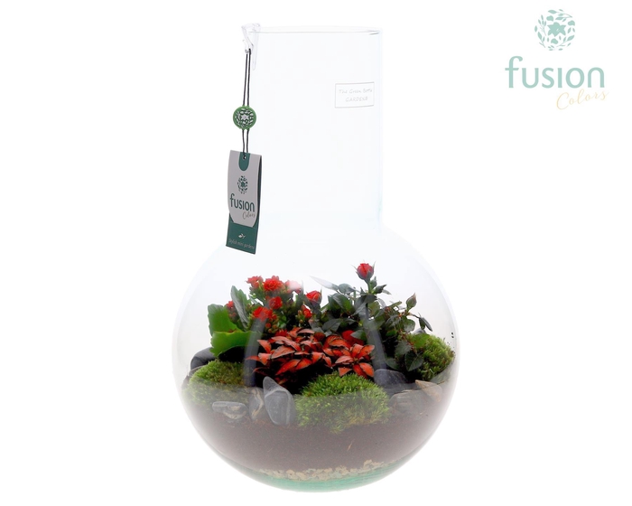 <h4>Green Bottle Suzanne Large met arrangement</h4>