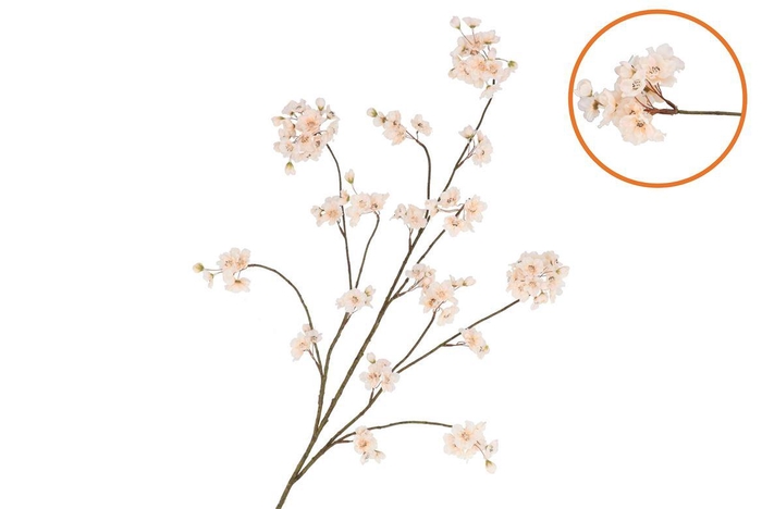 <h4>Silk Cherry Blossom Champagne 126cm</h4>